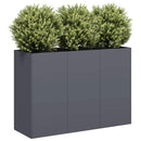 plantekasse 120x40x80 cm koldvalset stål antracitgrå