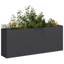 plantekasse sort 200x40x80 cm koldvalset stål
