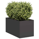 plantekasse 40x80x40 cm koldvalset stål sort - Xlshop.dk