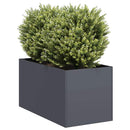 plantekasse 40x80x40 cm koldvalset stål antracitgrå - Xlshop.dk
