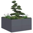 plantekasse 80x80x40 cm koldvalset stål antracitgrå - Xlshop.dk