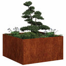plantekasse rustfarvet 80x80x40 cm forvitringsstål