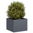 plantekasse 40x40x30 cm stål antracitgrå - Xlshop.dk
