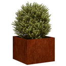 plantekasse rustfarvet 40x40x30 cm forvitringsstål