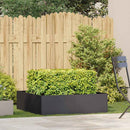 plantekasse 100x100x30 cm stål sort - Xlshop.dk