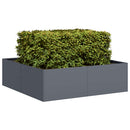 plantekasse 100x100x30 cm stål antracitgrå - Xlshop.dk