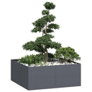plantekasse 100x100x40 cm stål antracitgrå - Xlshop.dk