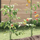 Plante støtte 50 pcs Grøn 110 x 0.6 x 0.6 cm Stål