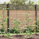 Plante støtte 5 pcs Grøn 150 x 0,6 x 0,6 cm Stål