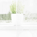 Lace Gardin med gardiner Blomstret Hvid 100 x 150 cm Polyester