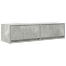 TV-skab med skuffe Betongrå 100 x 31 x 25,5 cm Konstrueret træ