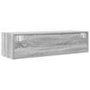 TV-skab Grå sonoma-eg 100 x 31 x 25,5 cm Konstrueret træ