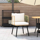 havestol med hynder polyrattan naturfarvet