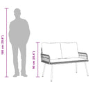 Have Spisebordssæt med pude 2 pcs Naturfarvet polyrattan