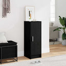 Sko skab med hylde Sort eg 32 x 35 x 92 cm Konstrueret træ