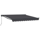 Markiseramme Antracit 300 x 250 cm Polyester med PU belægning
