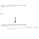 Udtrækkelig markise Lysegrå 350 x 250 cm Polyester og Aluminium