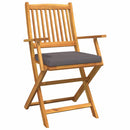 Sammenklappelig stol med pude 4 pcs Grå 49 x 57.5 x 92cm