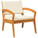 Bistrosæt med pude 5 pcs Brun Polyester