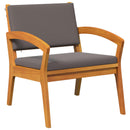 Bistrosæt med pude 5 pcs Brun Polyester