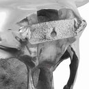 Bull kranium Sølv 34 x 13 x 53 cm Aluminium