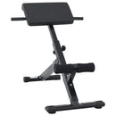 Hyperextension bænk Sort 100,5 x 70 x 78 cm Pulverlakeret stål