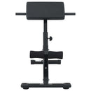 Hyperextension bænk Sort 100,5 x 70 x 78 cm Pulverlakeret stål