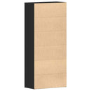 Sko skab 80 x 39 x 178 cm Konstrueret træ Sort