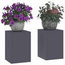 Planteholder 2 pcs Antracit 24 x 24 x 35 cm Stål