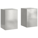 Planteholder 2 pcs Sølv 24 x 24 x 35 cm Rustfrit stål