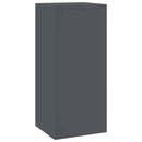 Planteholder 2 pcs Antracit 24 x 24 x 55 cm Stål