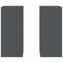 Planteholder 2 pcs Antracit 24 x 24 x 55 cm Stål