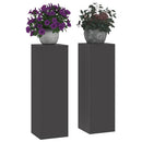 Planteholder 2 pcs Sort 24 x 24 x 75 cm Stål