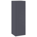 Planteholder 2 pcs Antracit 24 x 24 x 75 cm Stål
