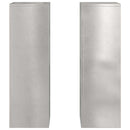 Planteholder 2 pcs Sølv 24 x 24 x 75 cm Rustfrit stål