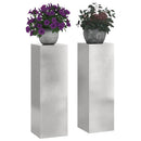 Planteholder 2 pcs Sølv 24 x 24 x 75 cm Rustfrit stål