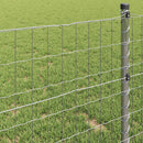 Euro Hejn 1 x 25 m PVC-belagt jern