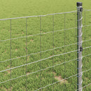Euro Hejn 0,8 x 25 m PVC-belagt jern