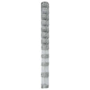 Vild Heg Hot Dip Galvaniseret 1000 x 140 x 0,18 cm Jern