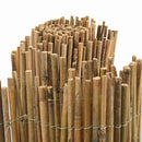 Bambushegn Naturfarvet 400 x 125 cm Bambus