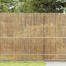Bambushegn Naturfarvet 500 x 150 cm Bambus