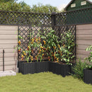 Have Blomsterkrukke 5 pcs Sort 120 x 120 x 143 cm Plastik