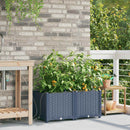 Have Blomsterkrukke 2 pcs Grå 80 x 40 x 37,5 cm Plastik