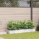 Have Blomsterkrukke 4 pcs Hvid 160 x 40 x 22 cm Plastik