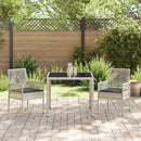 Have Spisebordssæt 3 pcs Lysegrå polyrattan