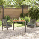 Have Spisebordssæt 3 pcs Grå polyrattan
