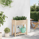 Have Blomsterkrukke Beige 71 x 37 x 76,5 cm Massivt Fyrretræ