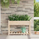Have Blomsterkrukke Beige 115 x 59 x 76,5 cm Massivt Fyrretræ