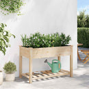 Have Blomsterkrukke Beige 115 x 59 x 76,5 cm Massivt Fyrretræ