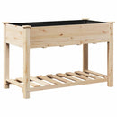 Have Blomsterkrukke Beige 115 x 59 x 76,5 cm Massivt Fyrretræ